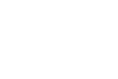 Back Shell